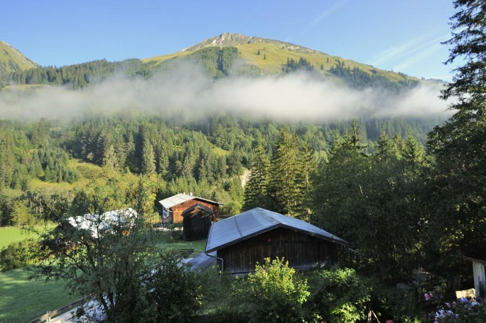 Apartament Haus Alpina Häselgehr Zewnętrze zdjęcie